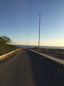 IMG_7945
