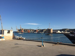 IMG_8187