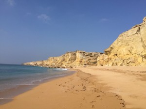 IMG_8581