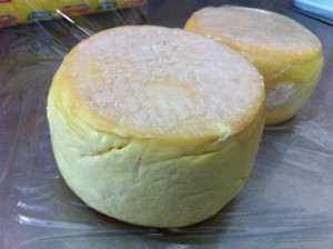 cheese