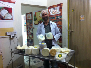 cheese 6